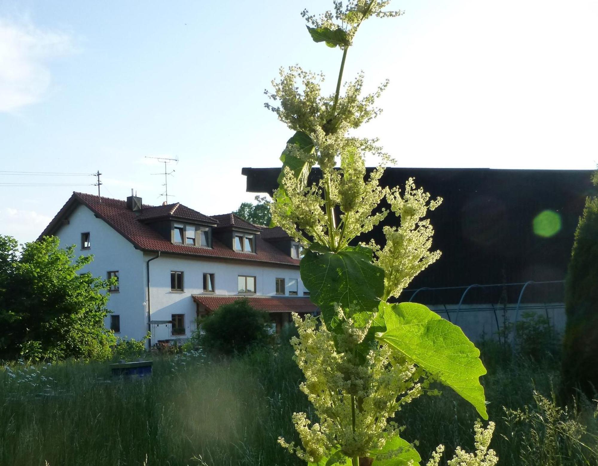 Moorwiesenhof Ostrach Exteriér fotografie